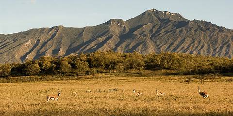 Private Mara/ Nakuru/ Naivasha/ Amboseli/ Nairobi