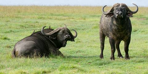 6-Day Best Exploration Tour