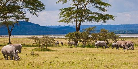 7-Day Exploratory Safari in Kenya