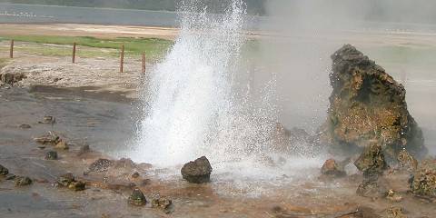 6-Day Rivers of Life – Rift Valley Safari Journey