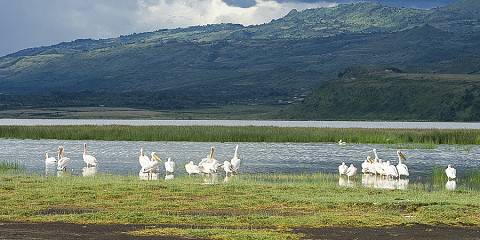 6-Day Whispers of the Rift Valley Lakes