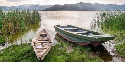 Lake Nakuru & Naivasha Boat and Crescent Island