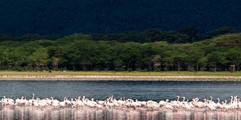 Of Wildlife and Nature Wonders of Kenya's Parks