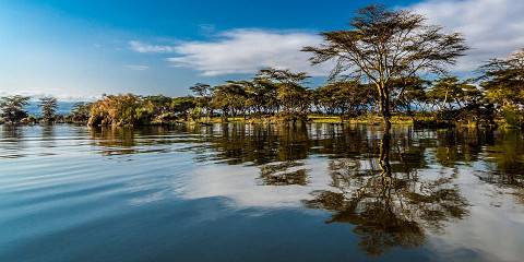6-Day The Great Rift & Masai Mara Safari