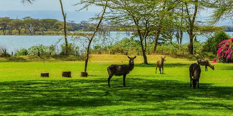6-Day Echoes of the Rift Valley Safari