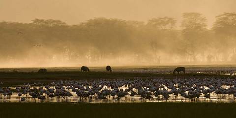 4-Day Mara & Lake Nakuru