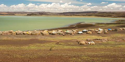 1-Day Lake Nakuru National Park Private Day Tour