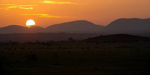 Samburu Wildlife Safari