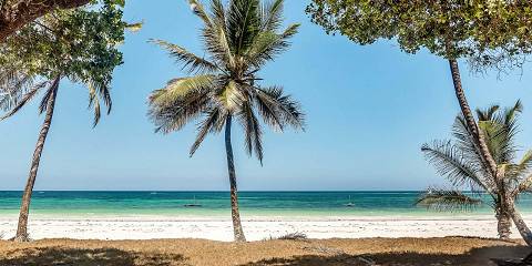 10-Day Luxury Living in the Bush and Beach Fun Experience