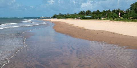 Nairobi, Amboseli, Salt Lick, Tsavo & Diani Trip