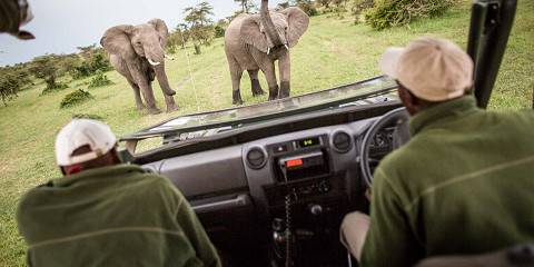 4-Day Lake Naivasha & Masai Mara Sopa Mid Range Tour