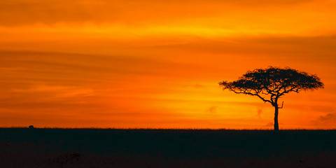 6-Day Wild Plains & Rift Valley Escape
