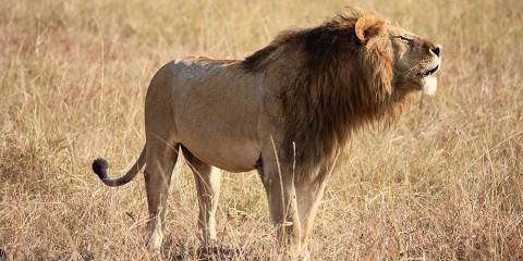 3-Day Tsavo East Safari Experience Starting from Mombasa