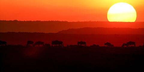 4-Day Masai Mara Marvels 4x4 Big Five Adventures