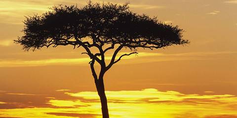 3-Day Masai Mara Wildlife Safari & Maasai Village Visit