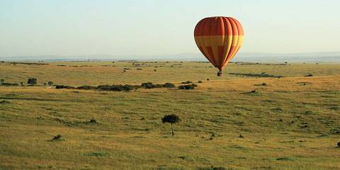 Combined Kenya & Tanzania Tour