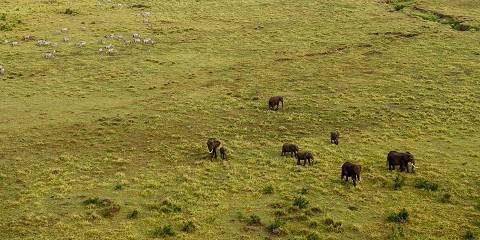 7-Day Spectacular Wildlife Adventure