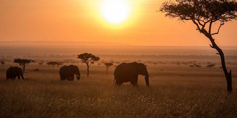 Lakes & Masai Mara Wildlife Adventure - 2026