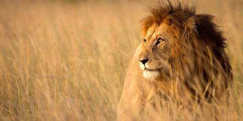 6-Day Budget Kenya Group Safari