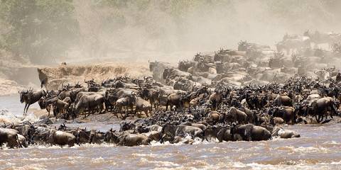 3-Day Luxury Safari in the Great Masai Mara Reserve