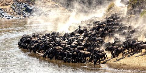 3-Day Masai Mara Group Joining Safari at Mara Sopa Lodge