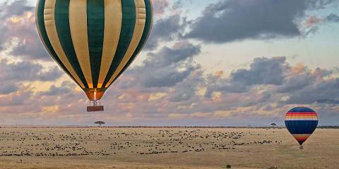 3-Day Masai Mara Balloon Safari, Wildlife Experience