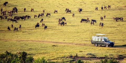 6-Day Tracks of the Wild Mara, Hells's Gate and Amboseli