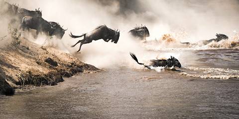 6-Day Savannahs, Lakes & Kilimanjaro Safari