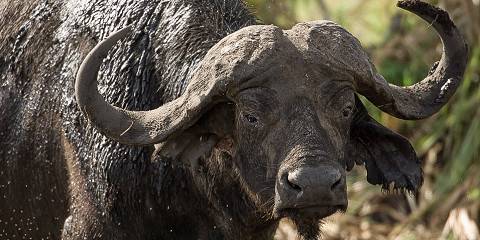 3-Day Tour Meru the Kenya's Hidden Gem