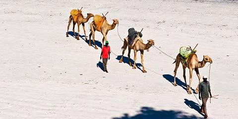 7-Day Kenya Safari and Coastal Bliss