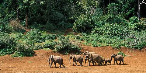 3-Day Maasai Mara Safari