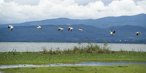 Fascinating Luxury Safari
