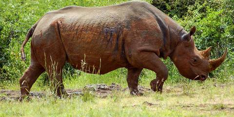 3-Day Epic Encounters Through Tsavo East & West