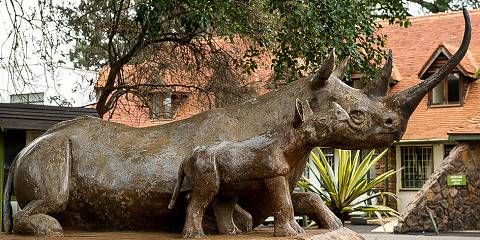 Nairobi National Park and Giraffe Centre Adventure