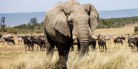 7-Day Solo Women Game to Beach Well Deserved Safari