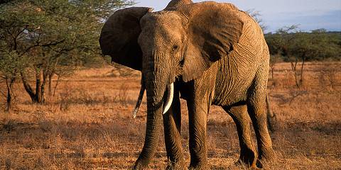 8-Day Big Five & Beyond Kenya's Iconic Landscapes