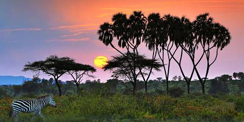 3-Day Samburu Wilderness Experience