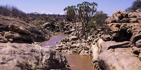 Kenyan Classic Safari- the Great Rift Valley Lakes