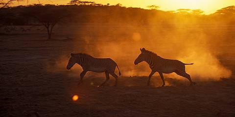 7-Day Magical Safari