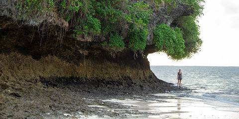 8-Day Safari from the Wild to the Beaches of Diani