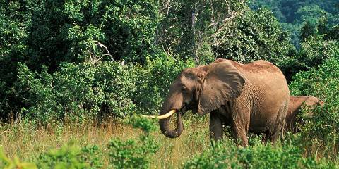 3-Day Wild Samburu Luxury Safari