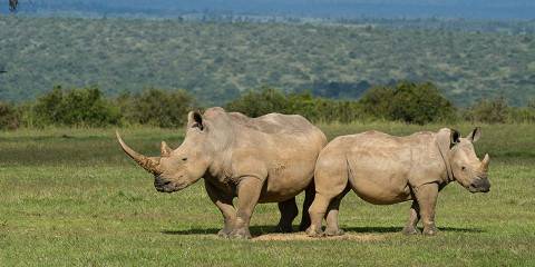 3-Day Wild Shots Safari Experience