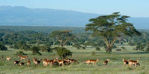 8-Day Memorable Kenya Wild Heart Discovery