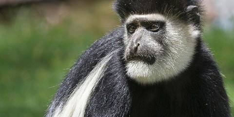 4-Day Tsavo East & Tsavo West National Park Safari