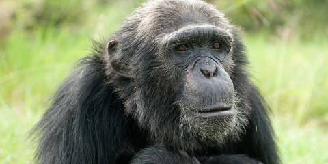 5-Day Tour to the Northern Kenya