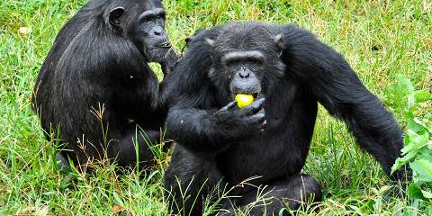 6-Day Samburu Special Five Scenic Wildlife Safari