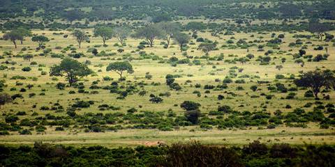 2-Day Ngutuni Wildlife Tsavo East & Cultural Safari