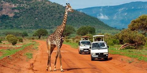 5-Day Scenic Mt Kilimanjaro View and Dusty Red Elephants