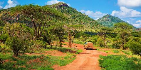 3-Day Wild Tracks Tsavo West Safari & Train Experience