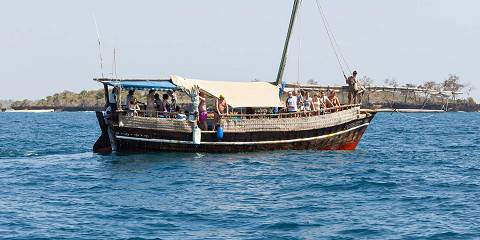 Wasini Boat-Sharing Tour, Dolphin-Snorkel-Sea-Food